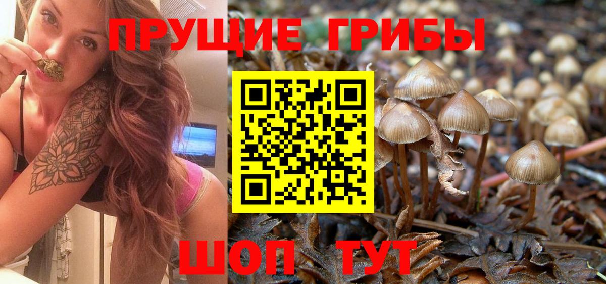 Псилоцибиновые грибы Magic Shrooms Волжск