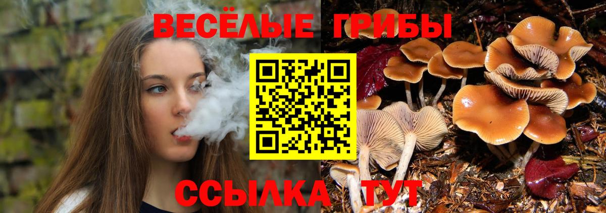 Галлюциногенные грибы Magic Shrooms  Вход с VPN  Волжск 